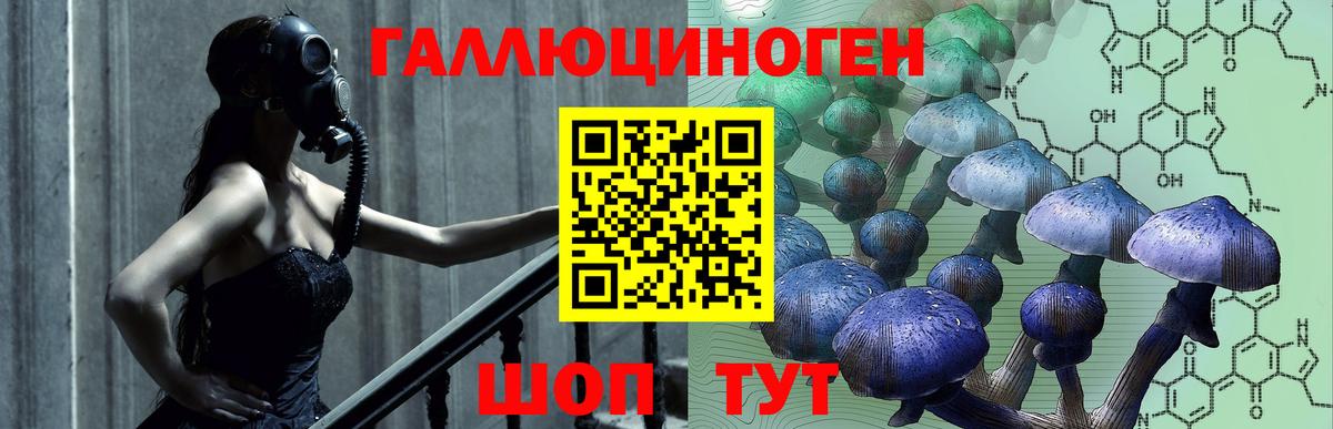 Псилоцибиновые грибы мухоморы  купить  цена  Томск  Вход с VPN 